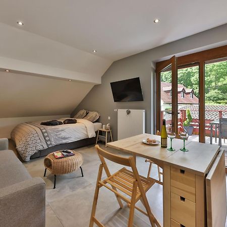 Gite Du Silberwald Charmant Gite Avec Spa - Jacuzzi , Acces Privatif Stosswihr Rom bilde
