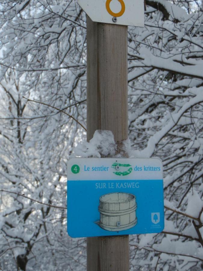 Gite Du Silberwald Charmant Gite Avec Spa - Jacuzzi , Acces Privatif Stosswihr Eksteriør bilde